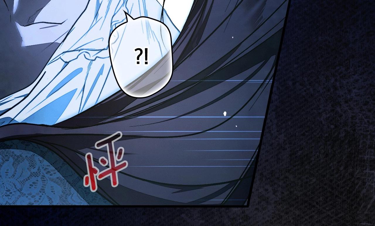 第 204 页