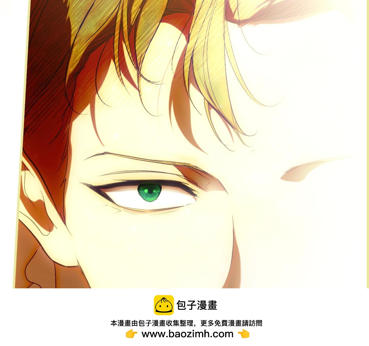 第 100 页
