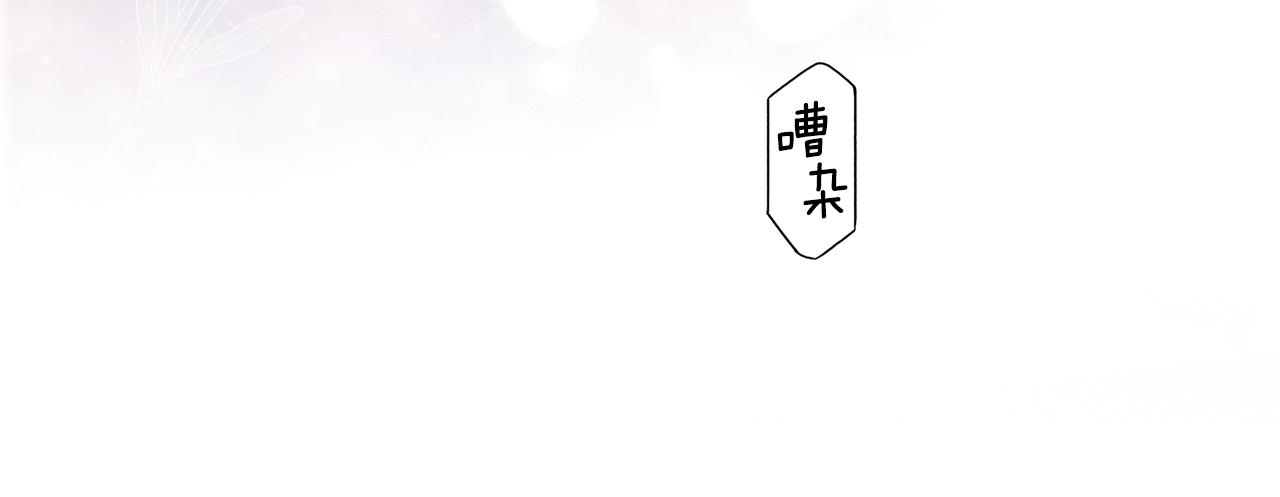 第 219 页