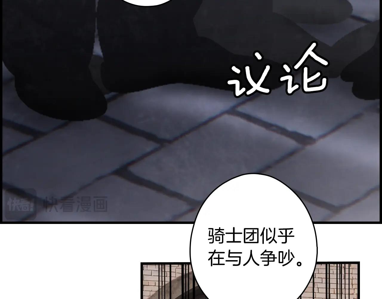 第 223 页