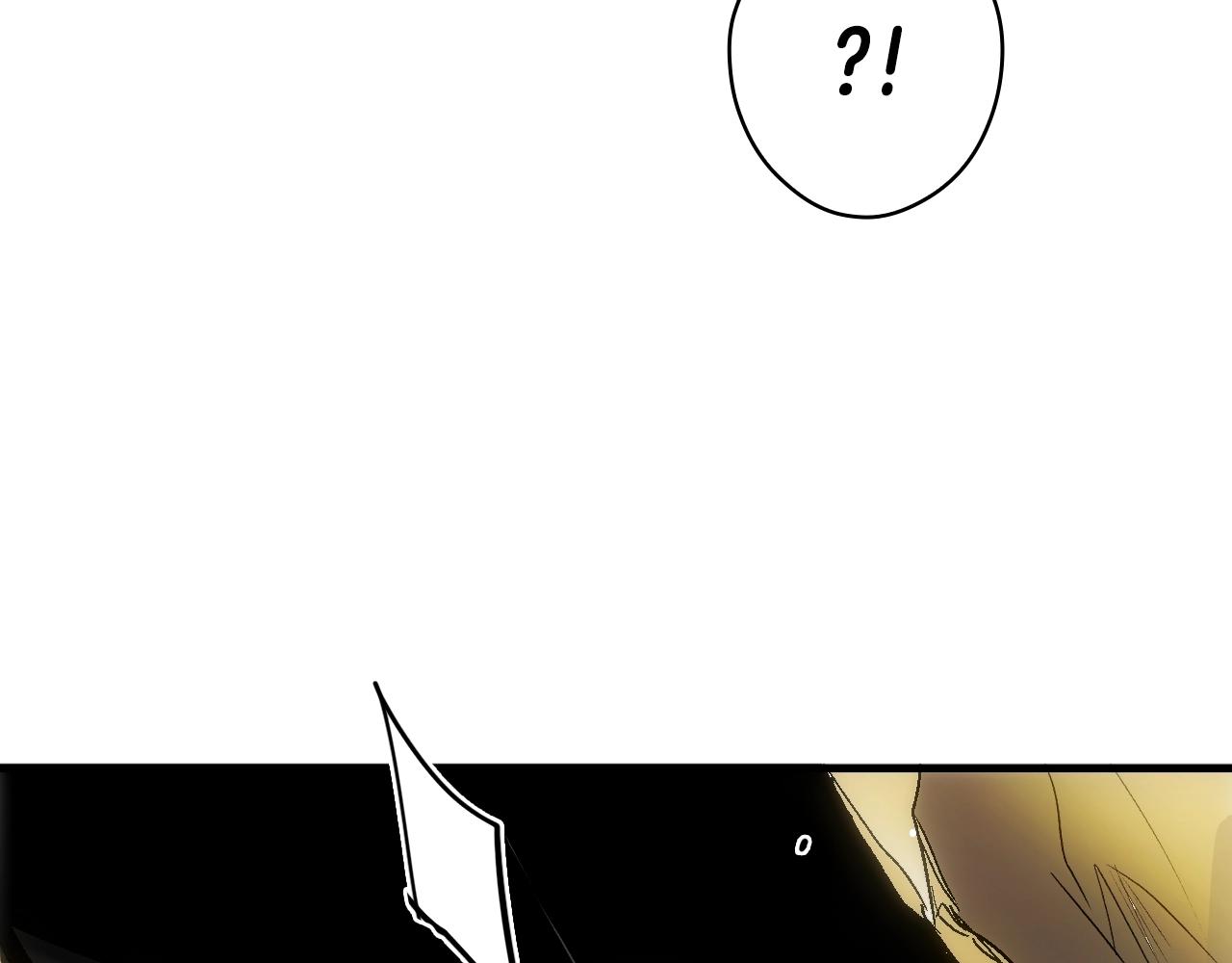 第 248 页