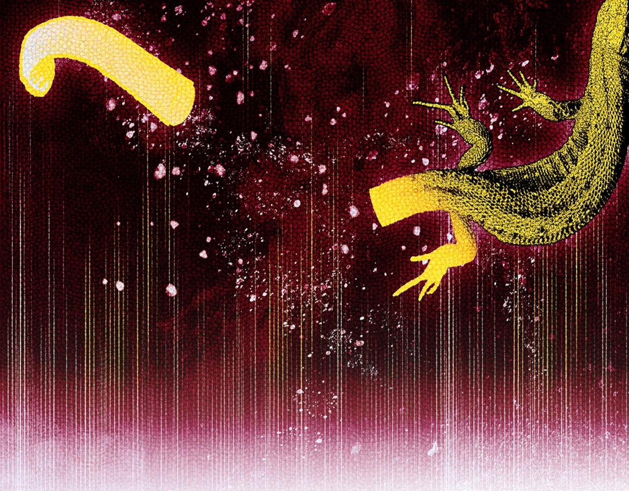 第 172 页