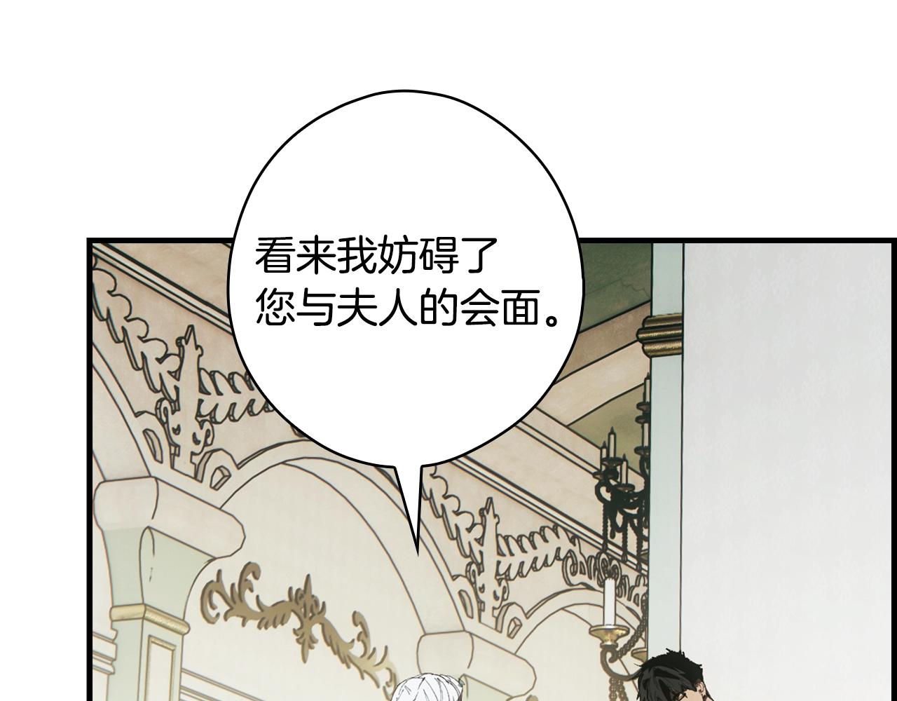 第 213 页