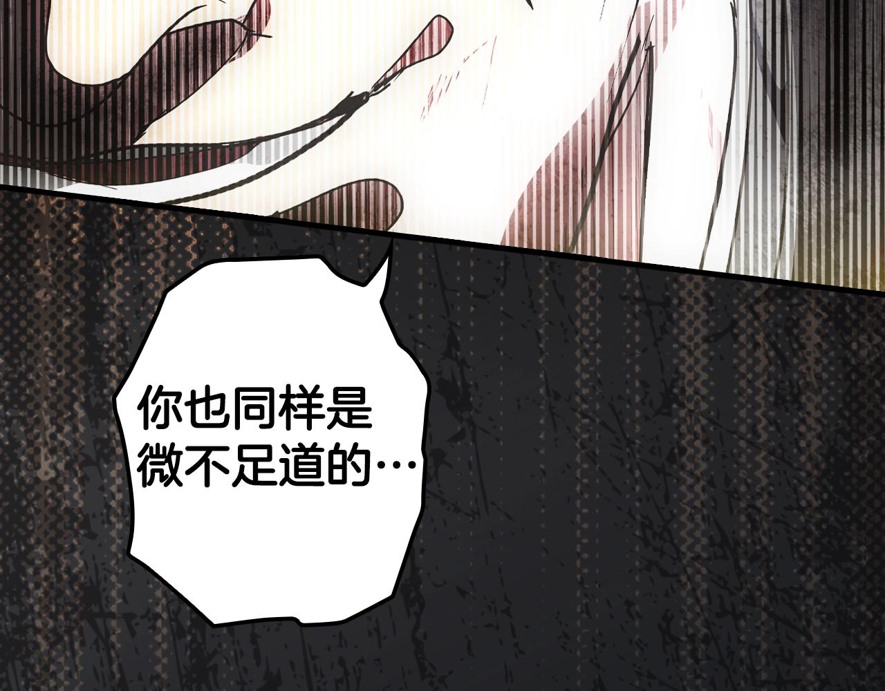 第 203 页