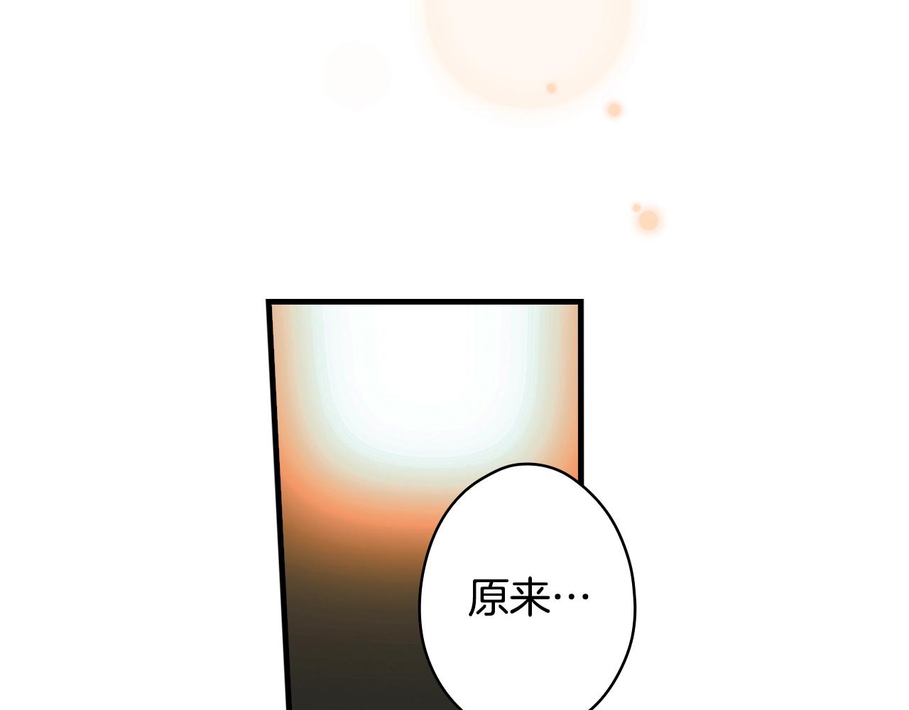 第 102 页