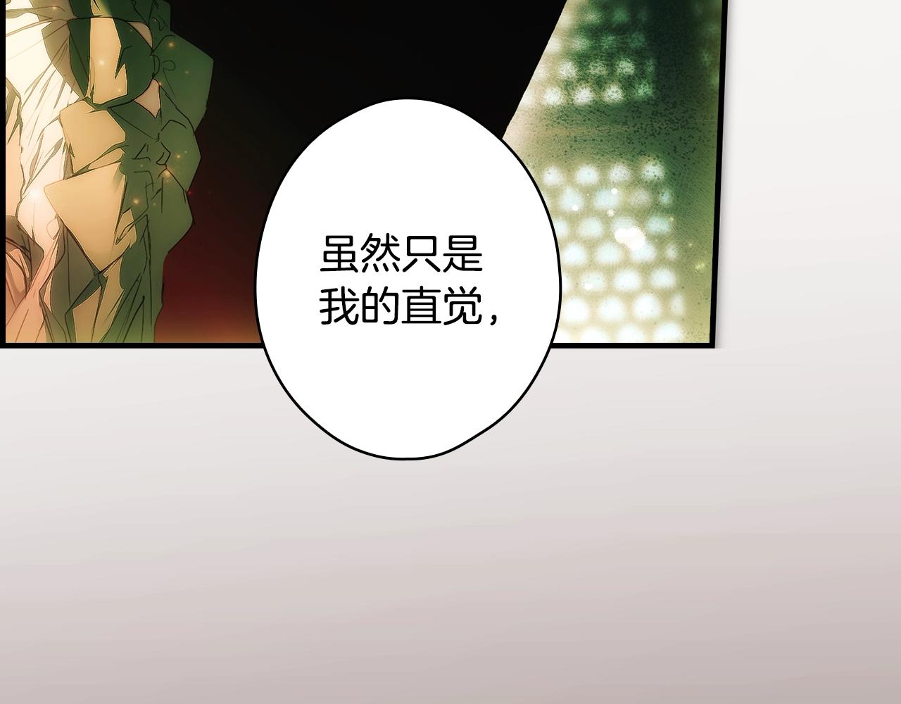 第 205 页