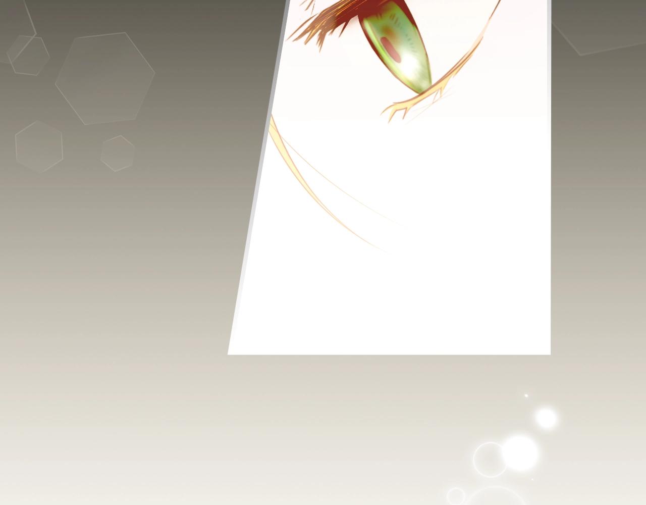 第 118 页