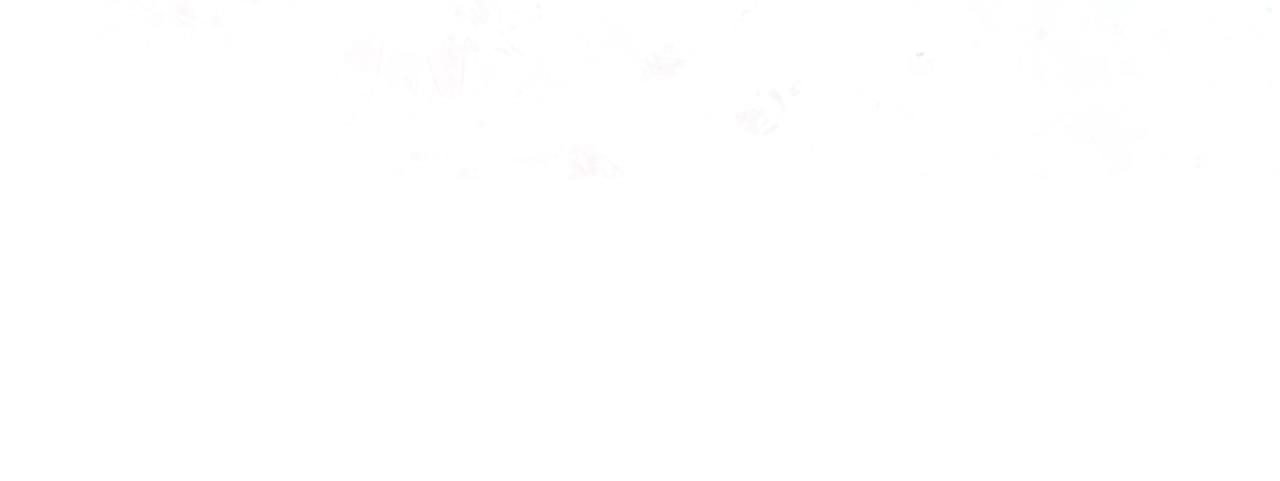 第 146 页