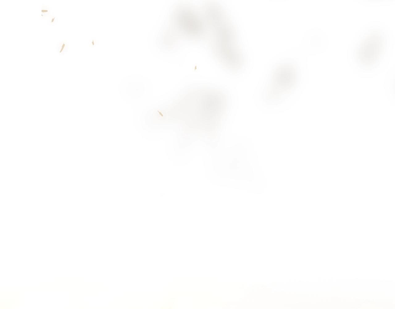 第 213 页
