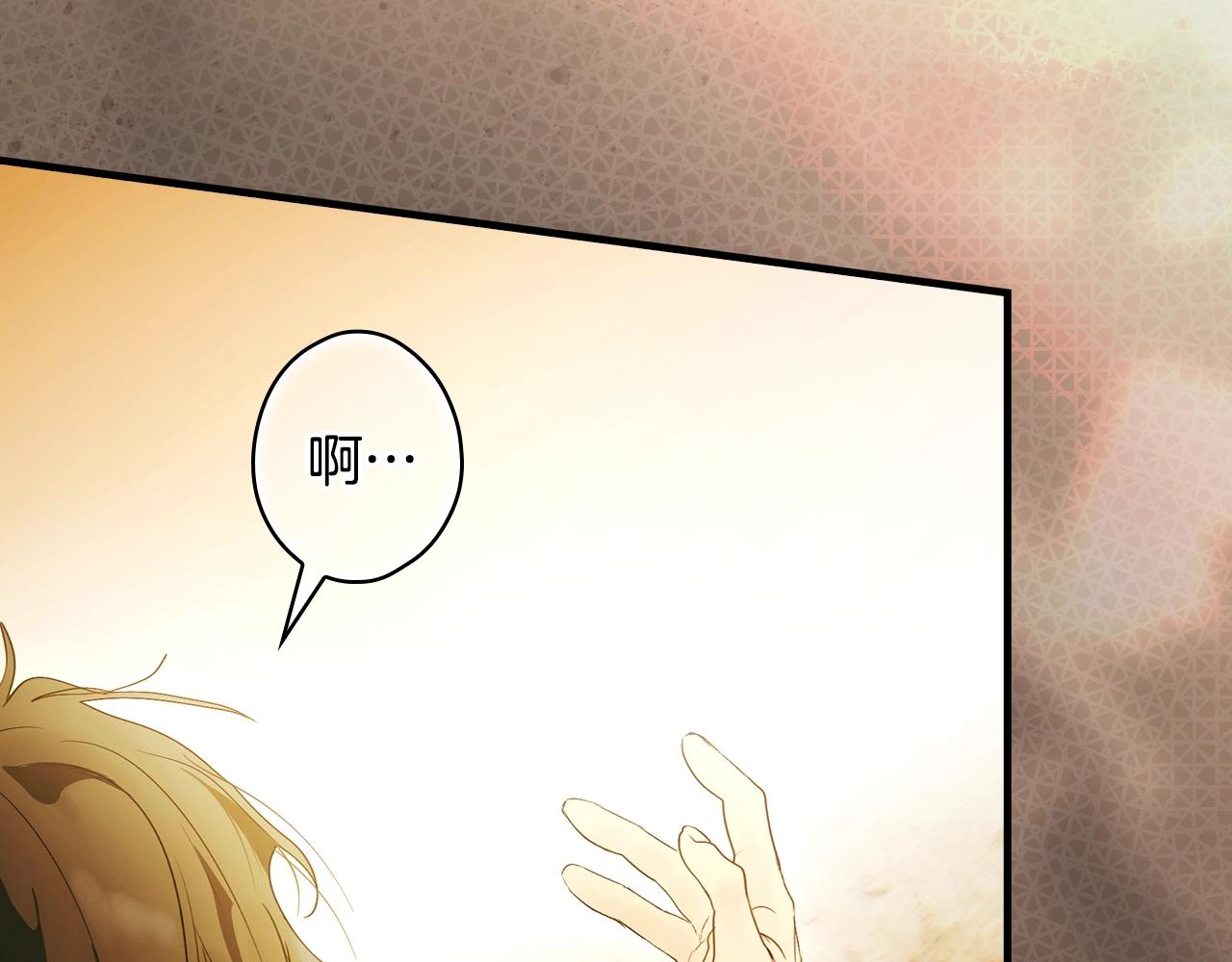 第 216 页