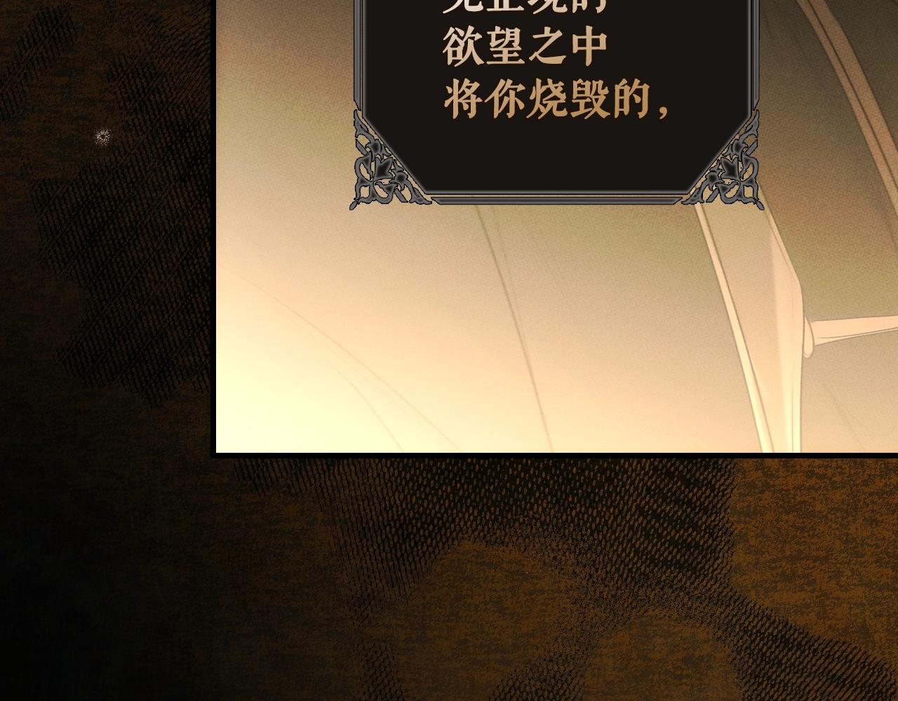 第 245 页
