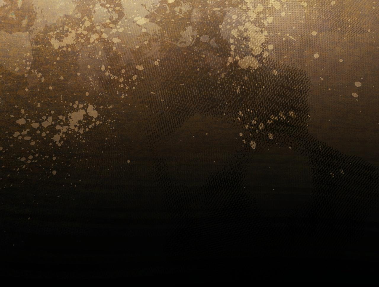 第 251 页
