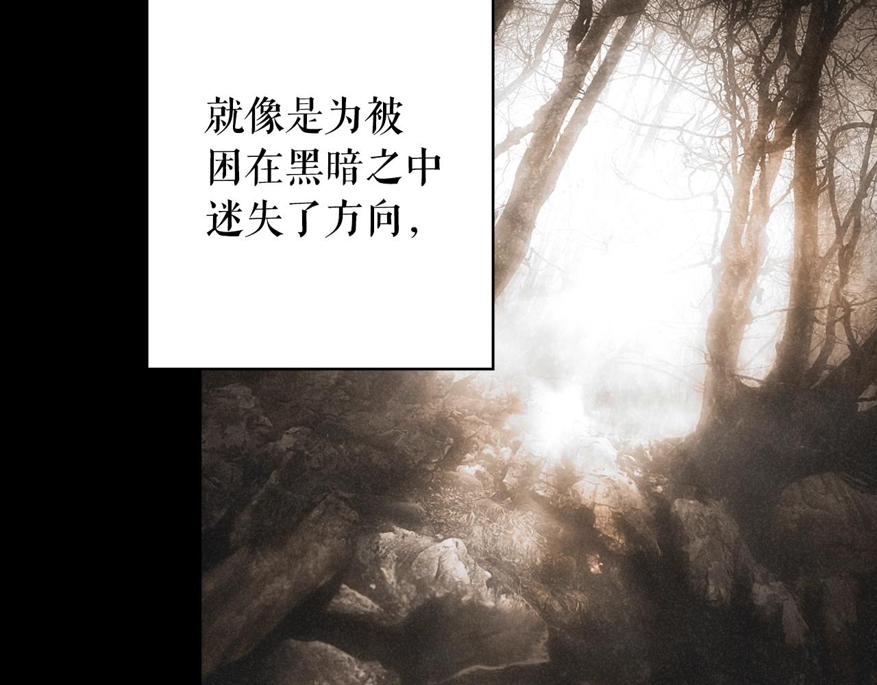第 243 页
