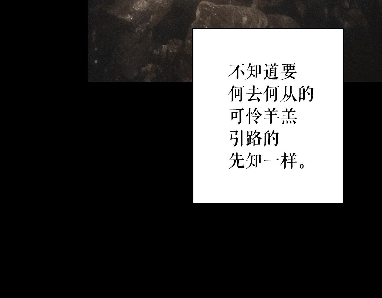 第 244 页