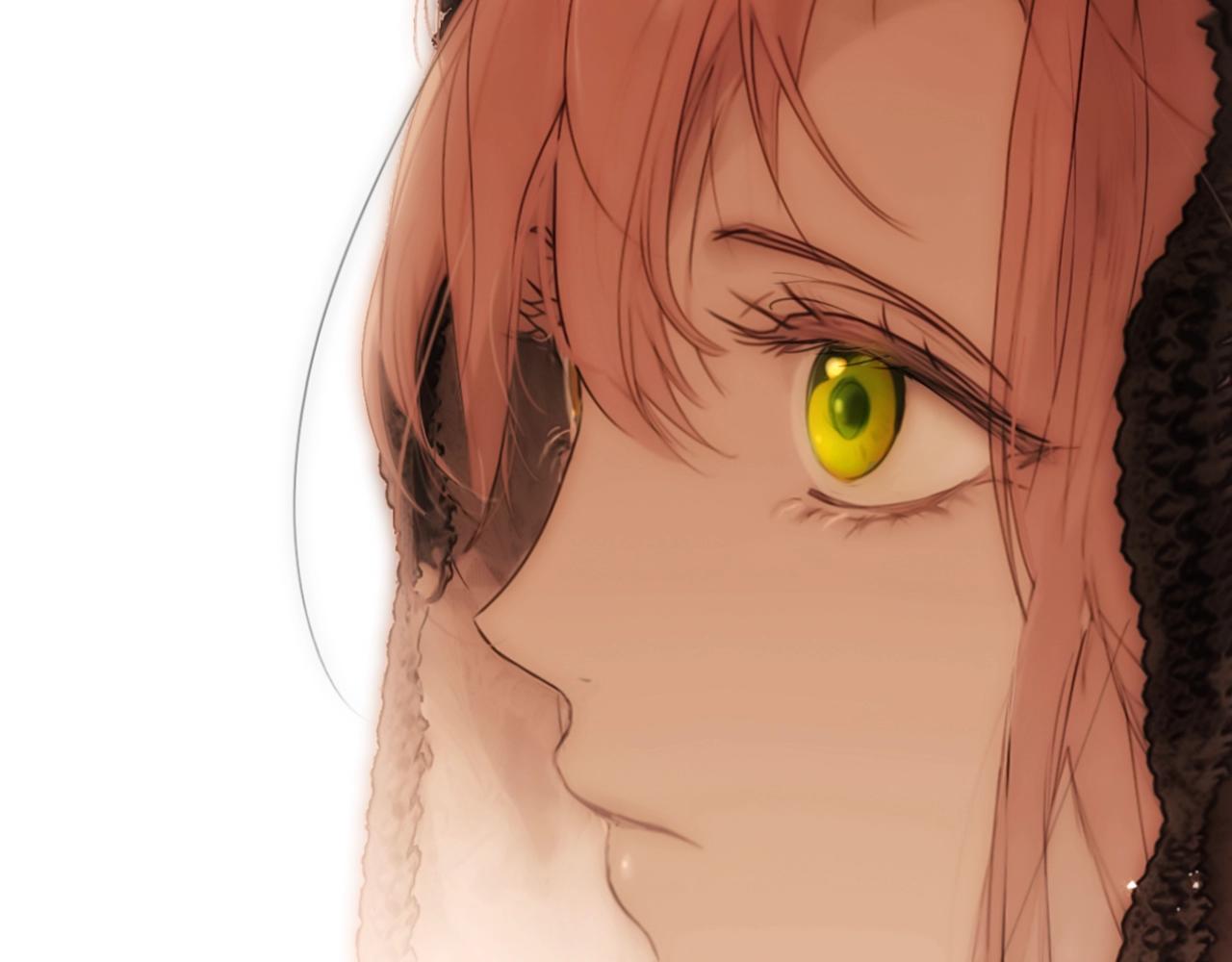 第 341 页