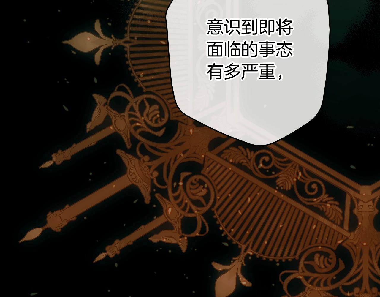 第 146 页