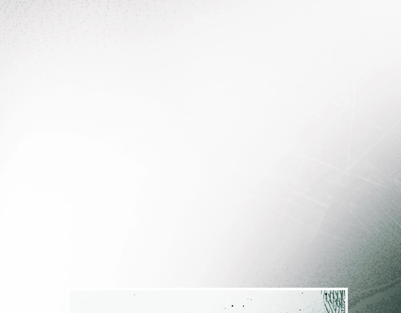 第 227 页