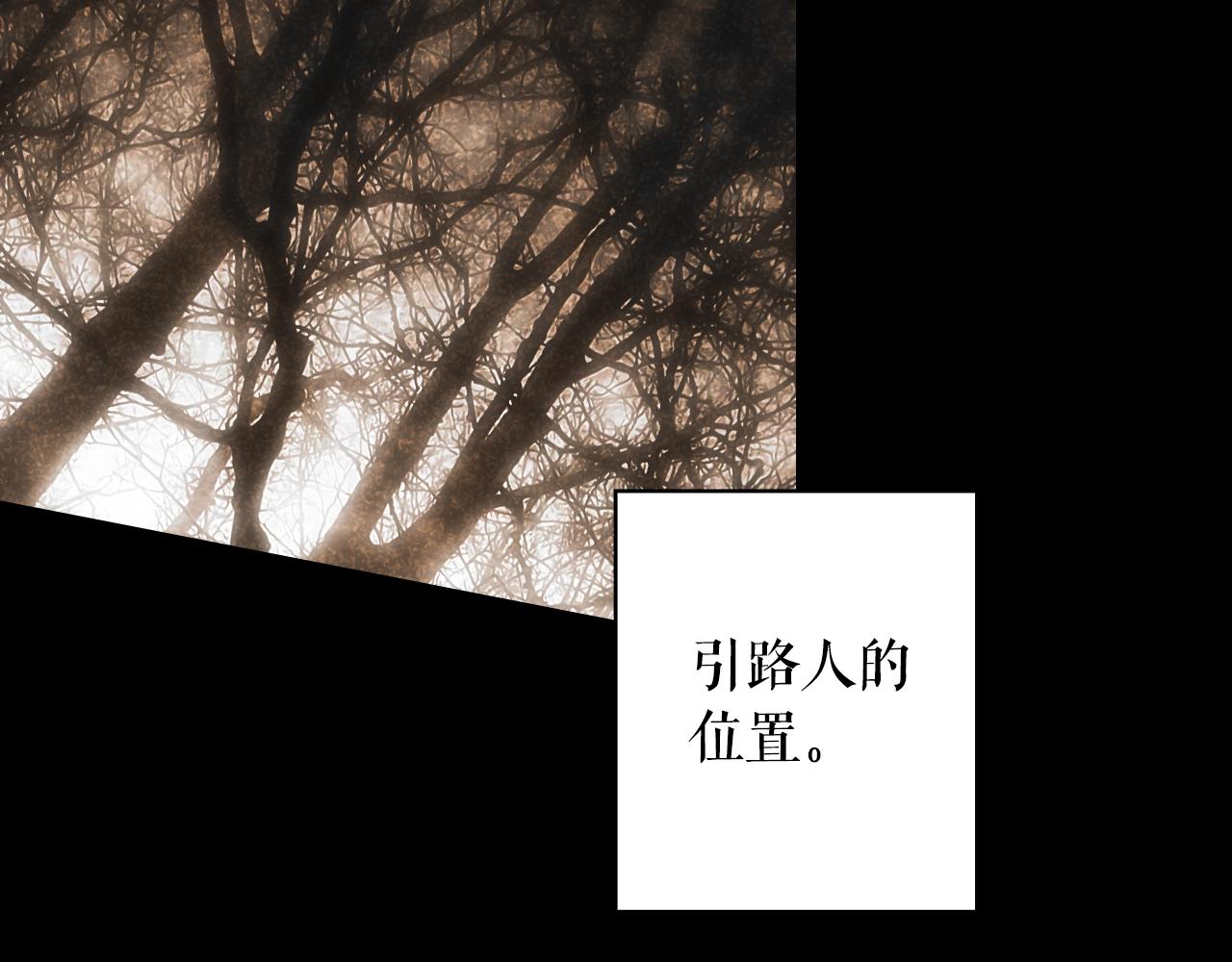 第 241 页