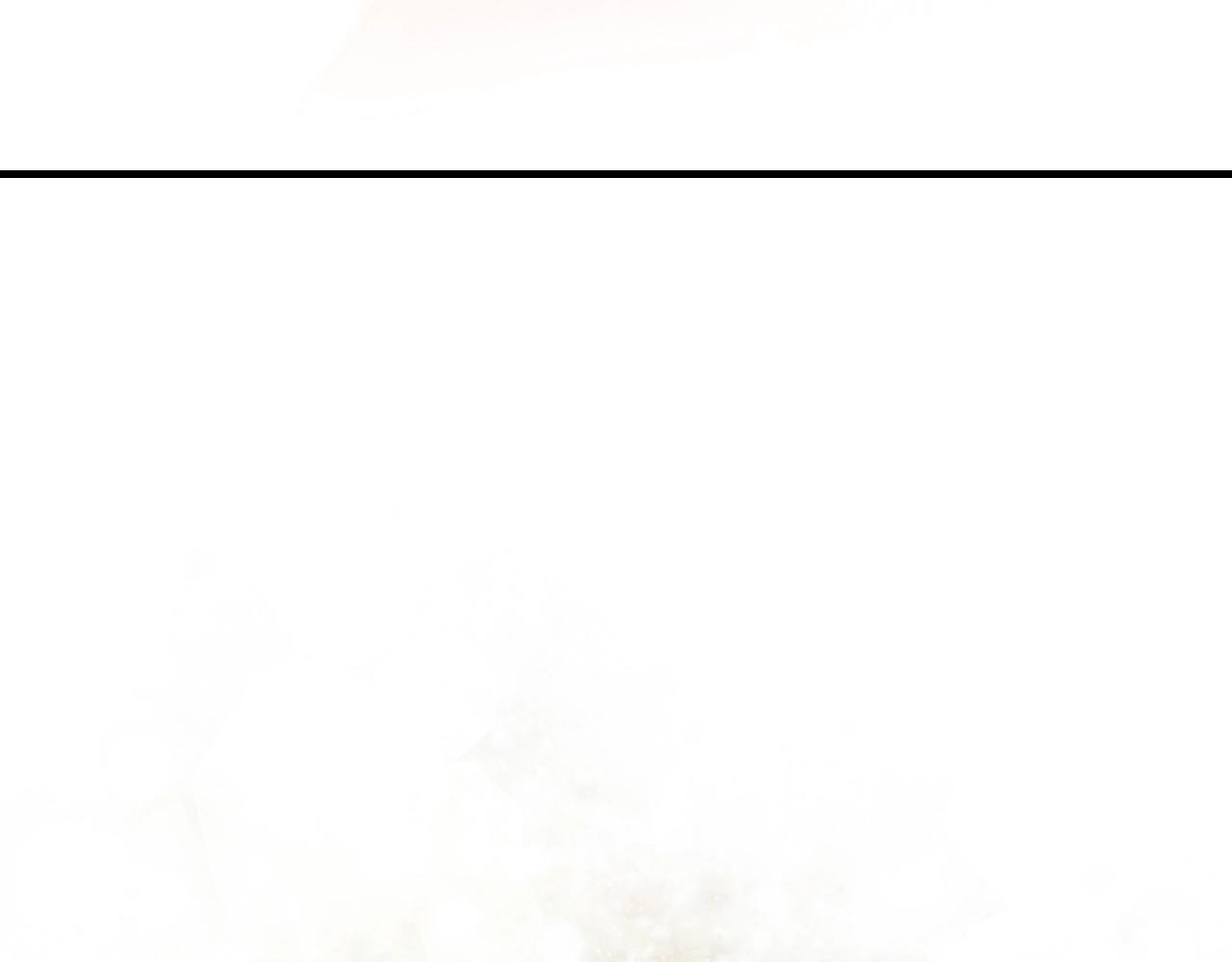 第 343 页