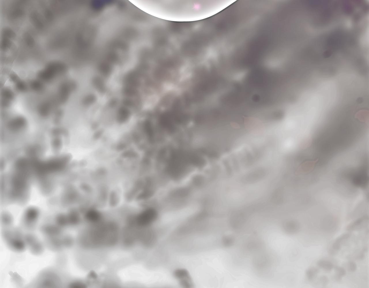 第 185 页