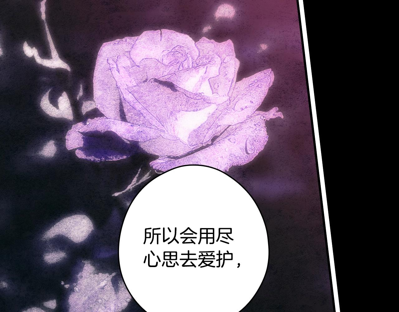第 271 页