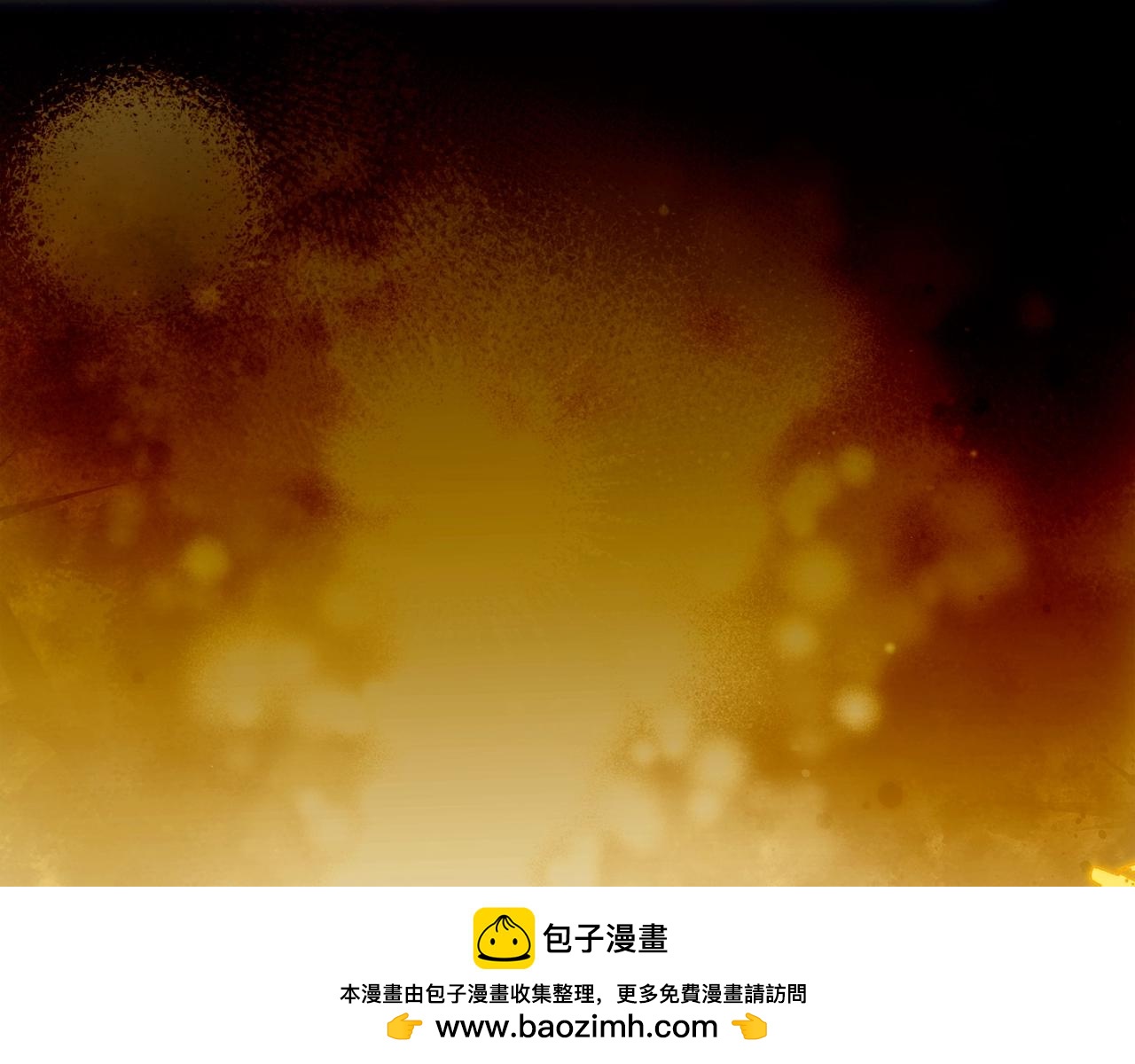 第 100 页