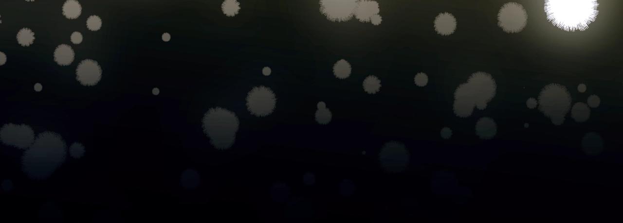 第 215 页