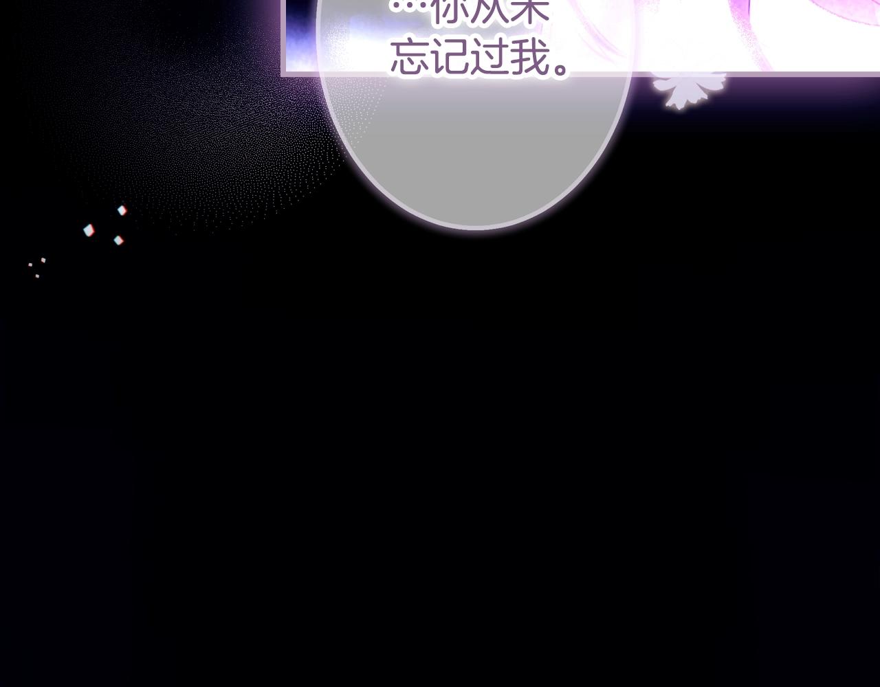 第 247 页