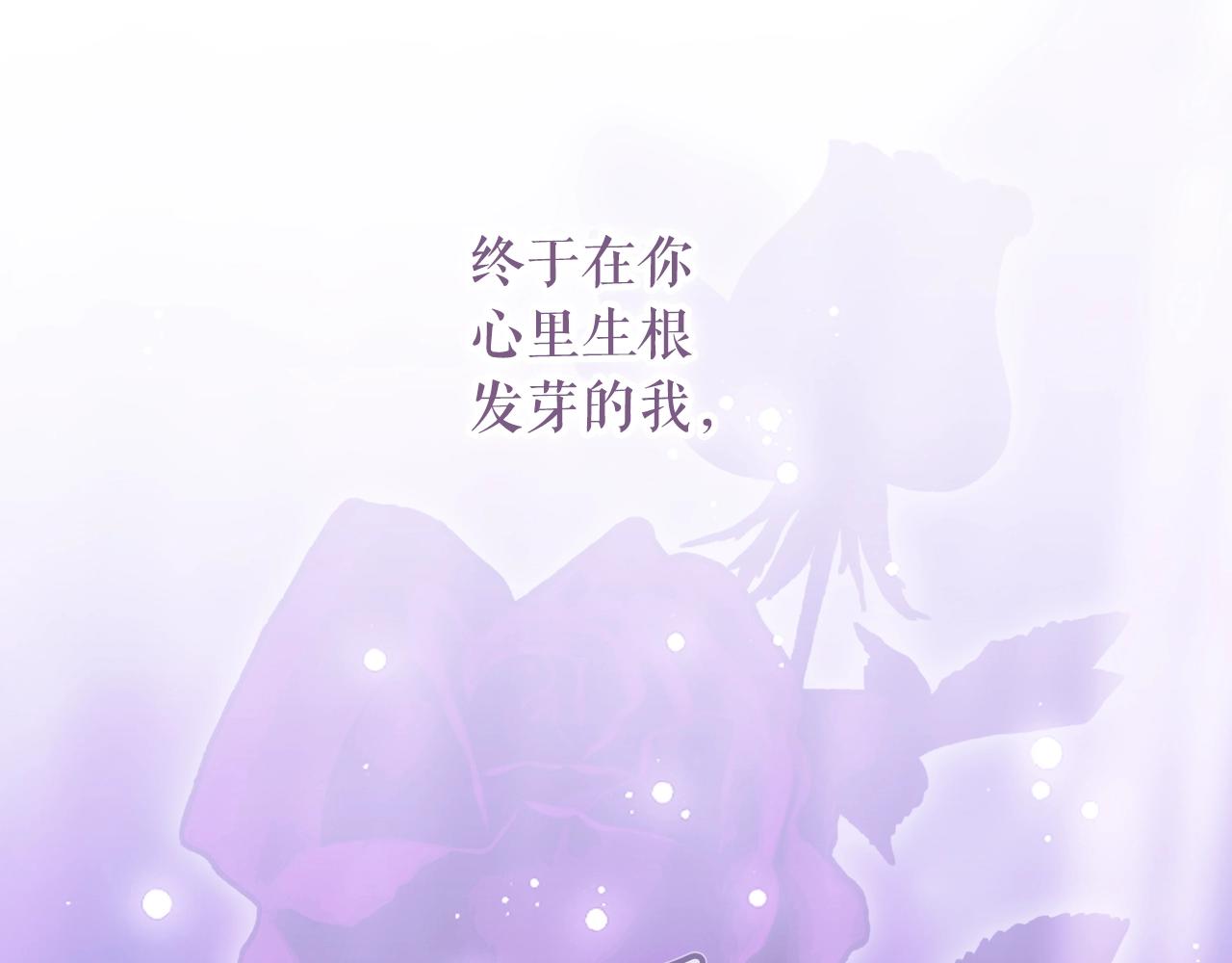 第 256 页