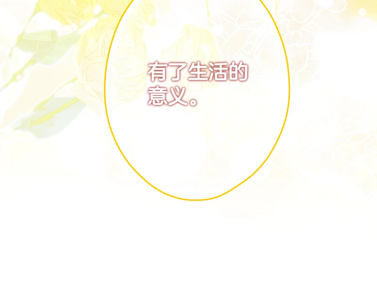 第 213 页