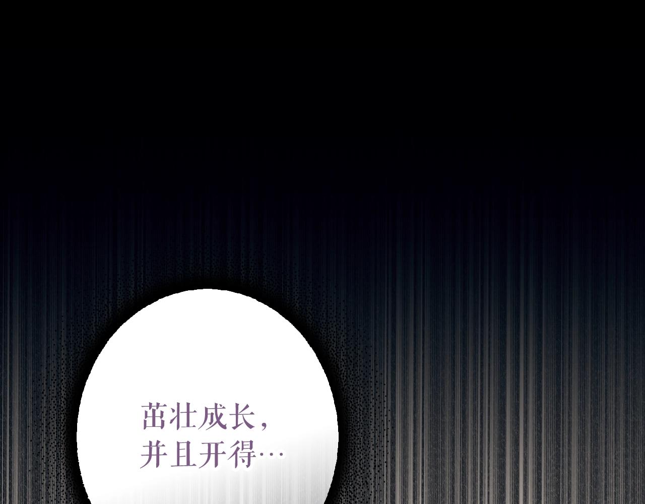 第 258 页