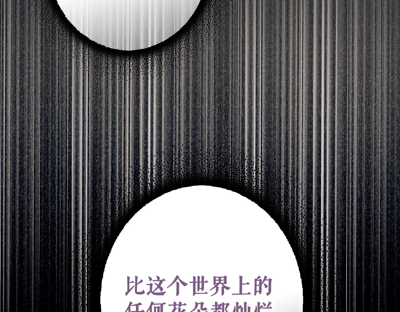 第 259 页