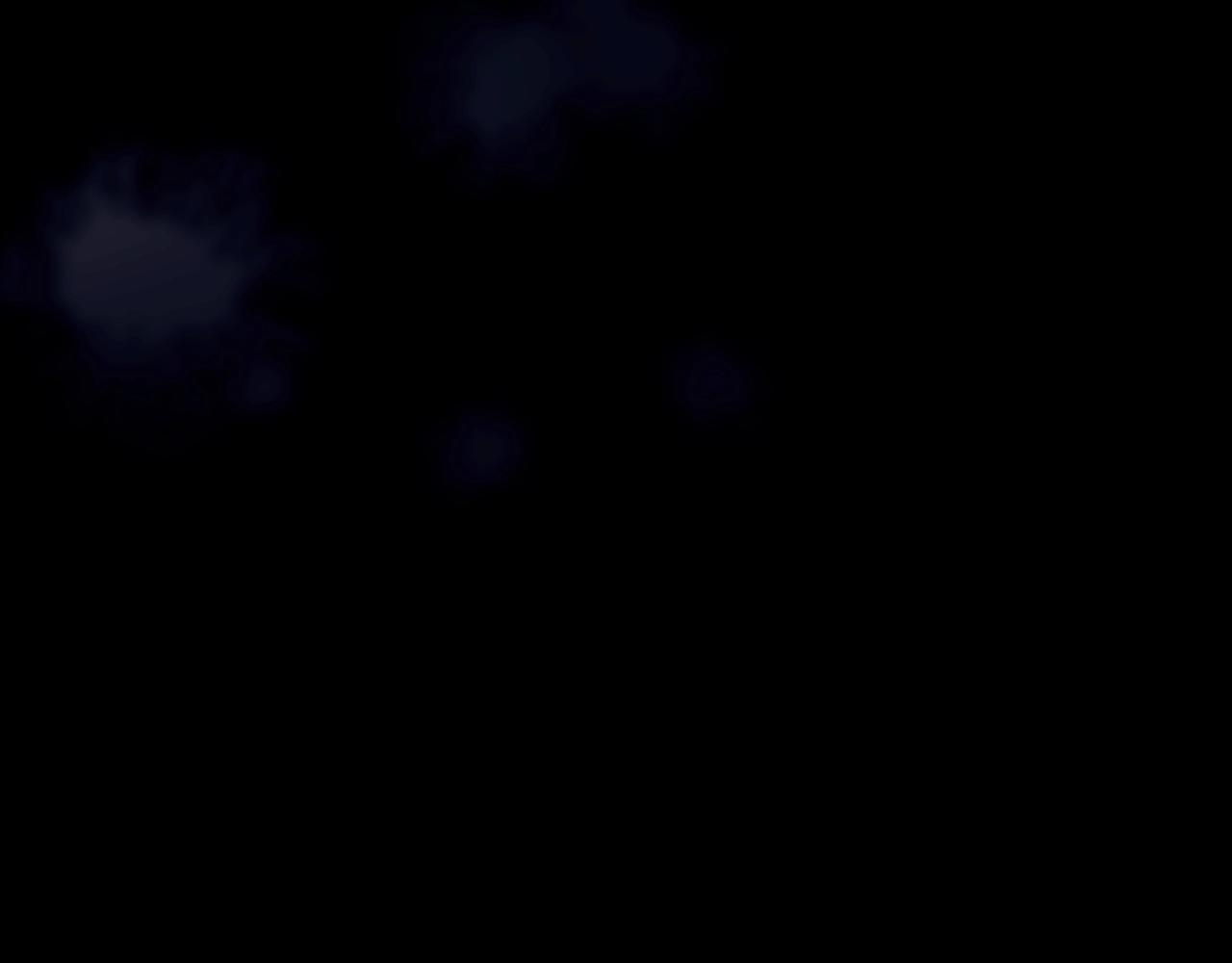 第 296 页