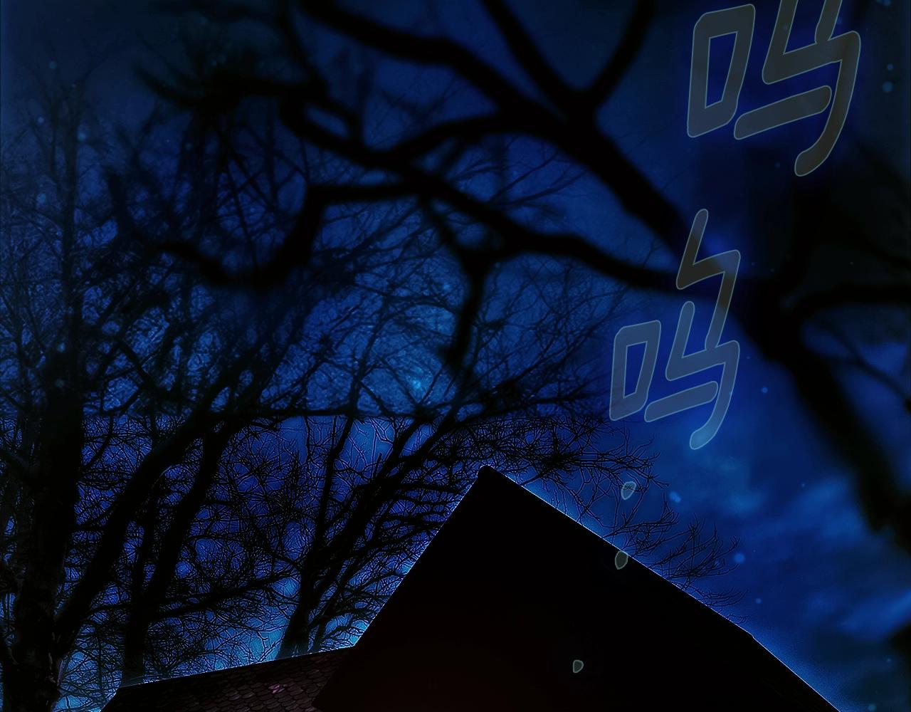 第 204 页
