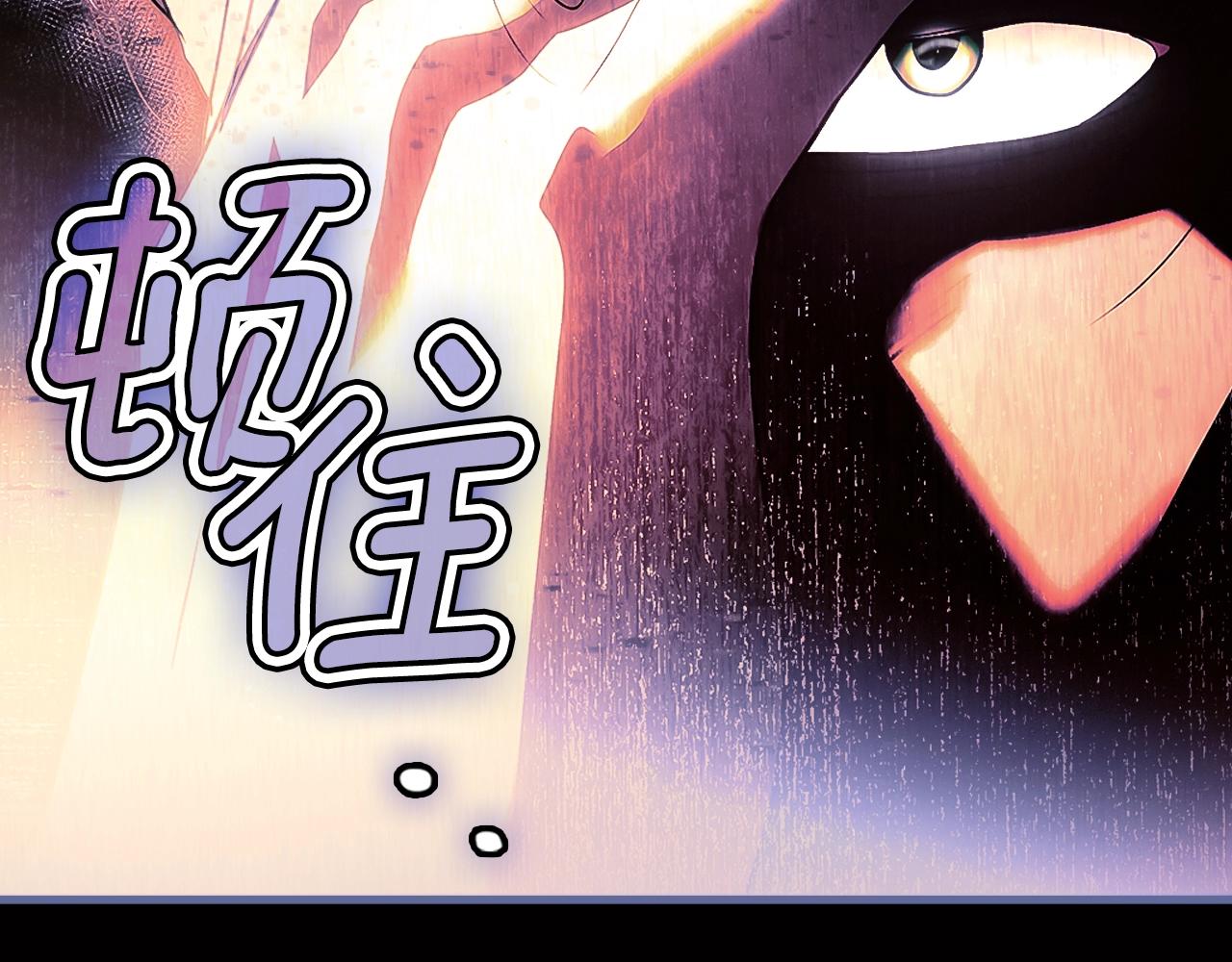 第 238 页