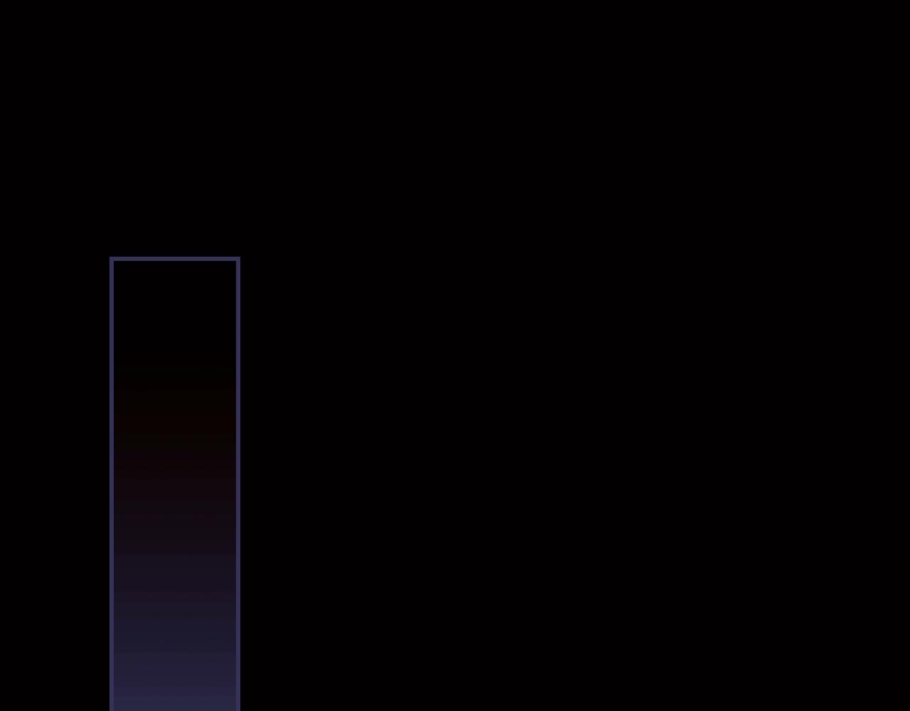 第 295 页