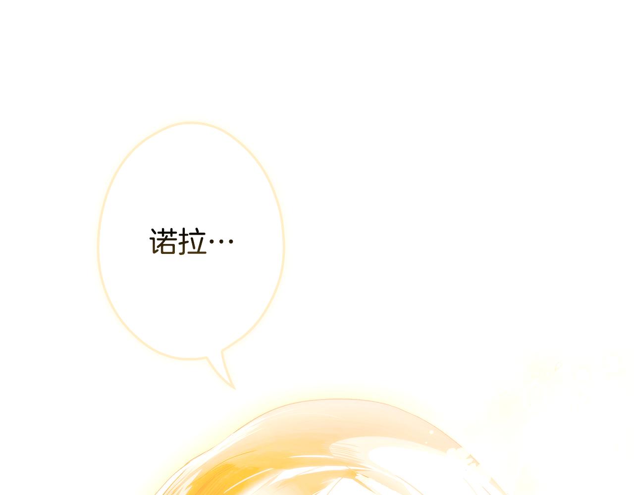 第 146 页