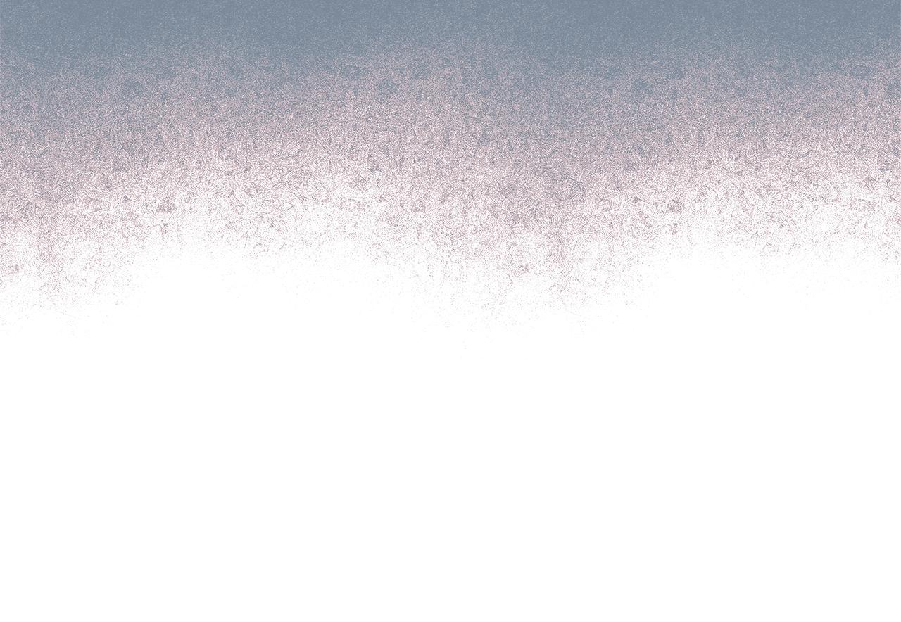第 233 页