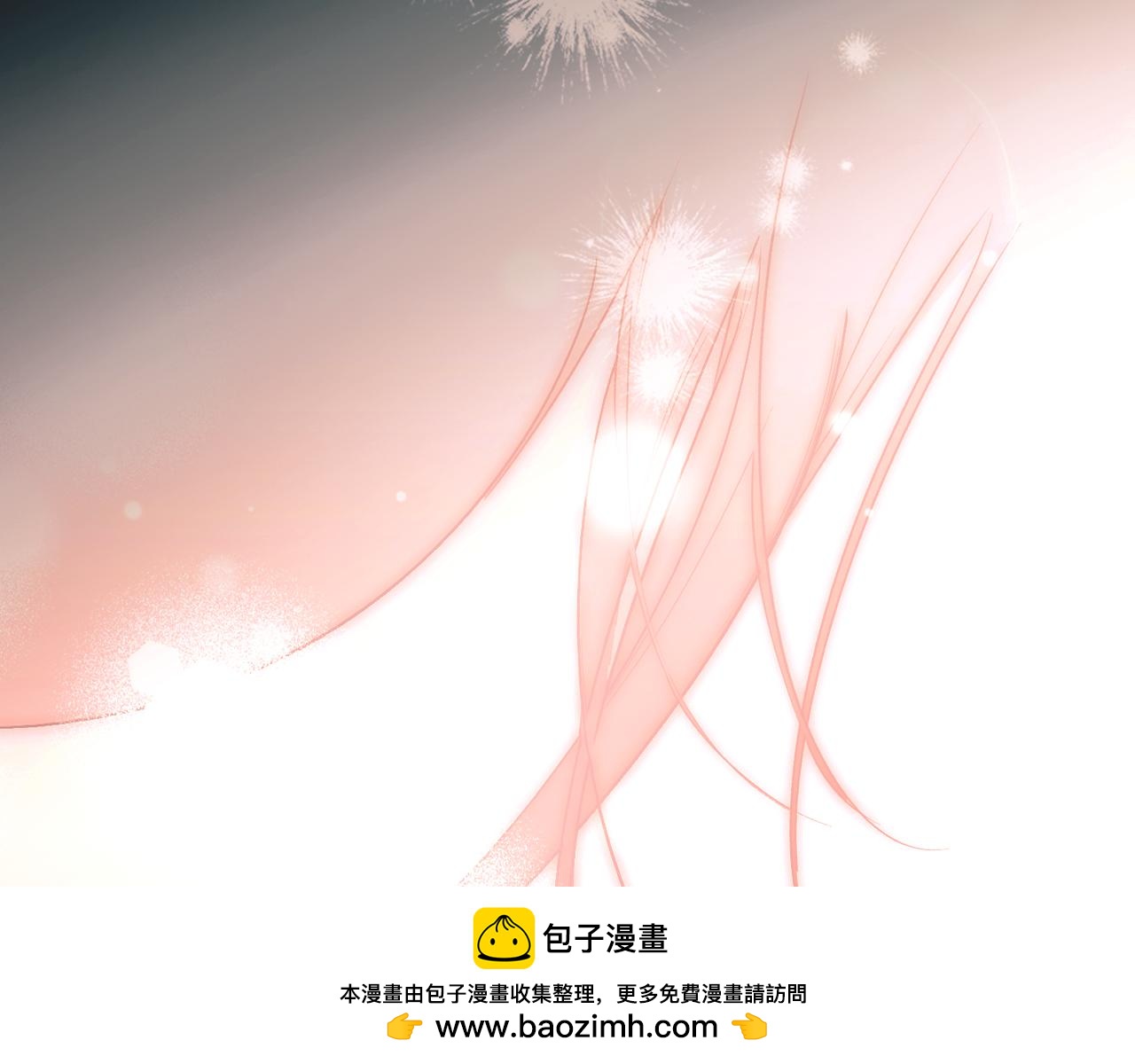 第 100 页