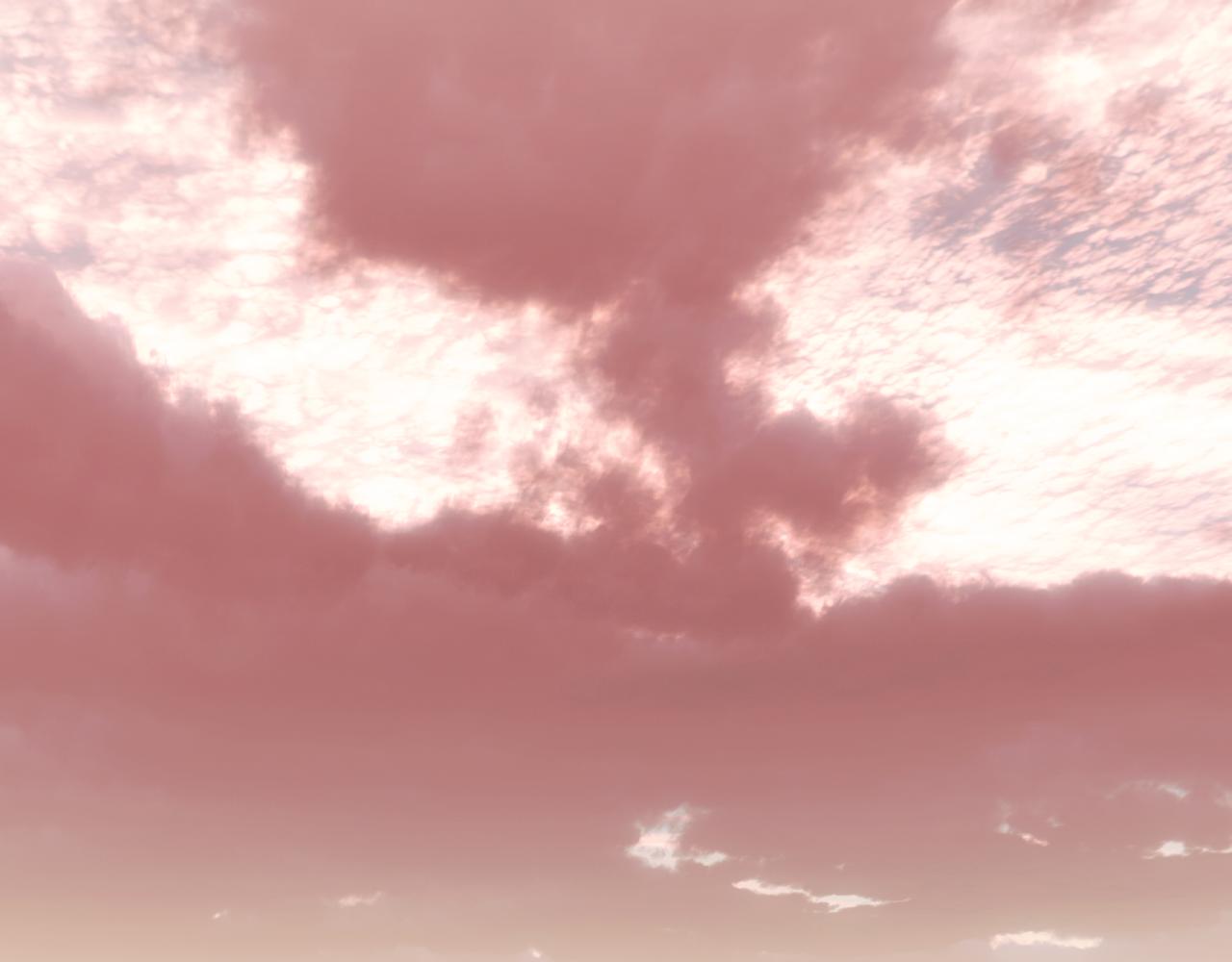 第 238 页