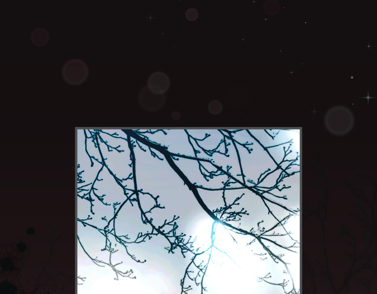 第 94 页
