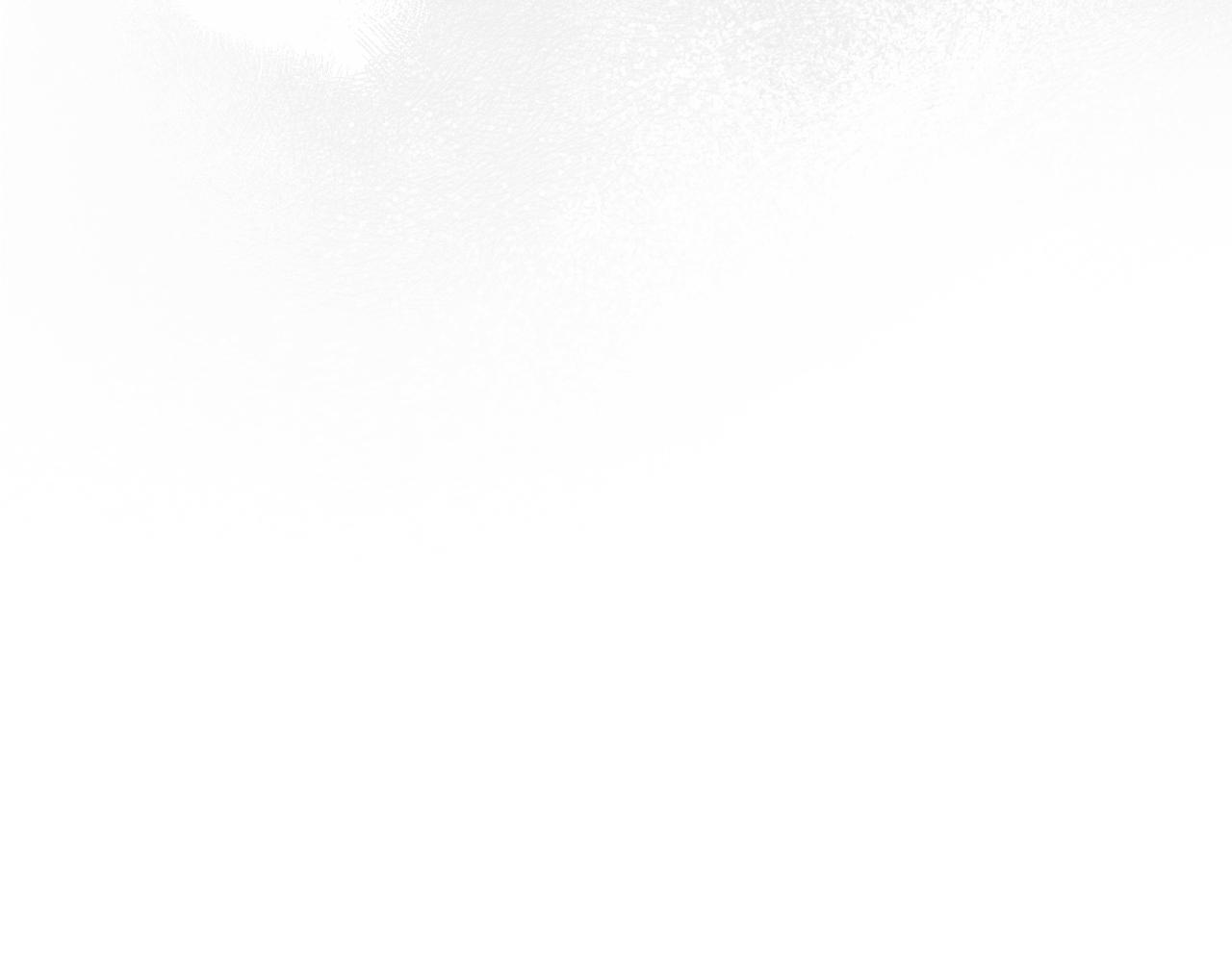 第 225 页