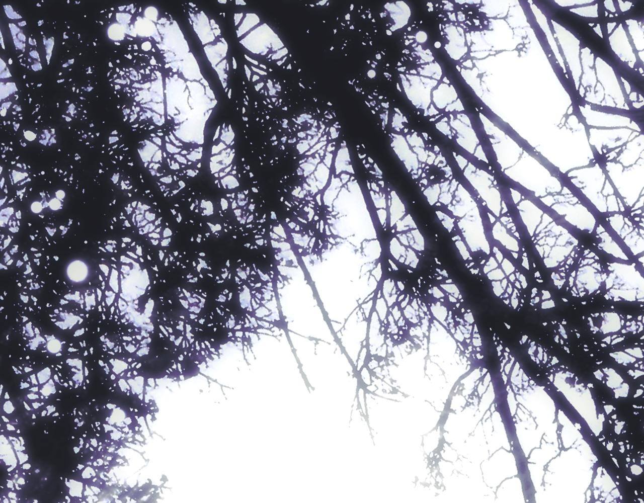 第 74 页