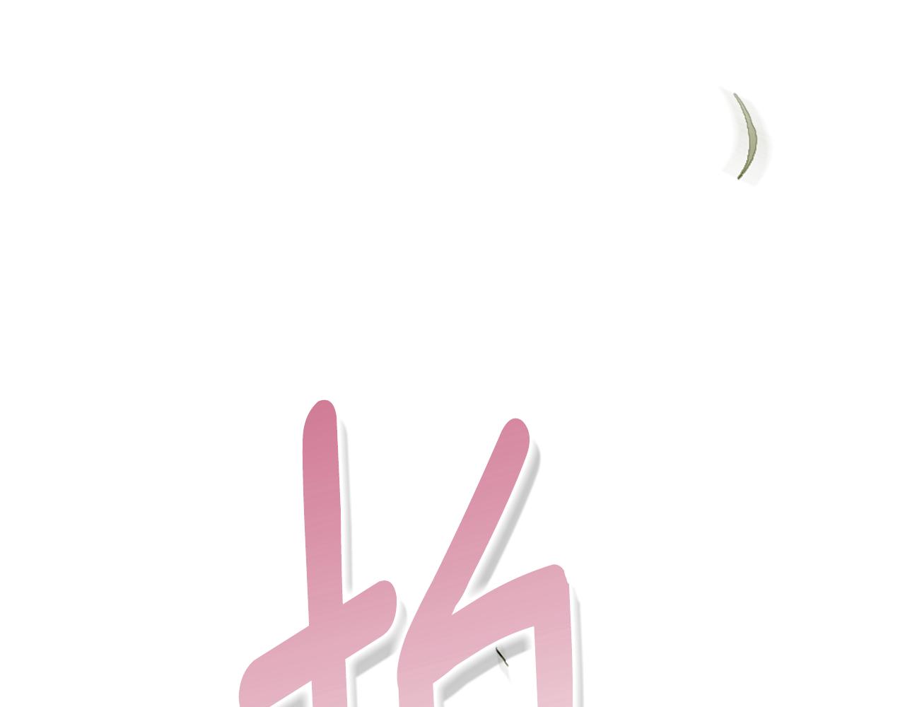 第 230 页