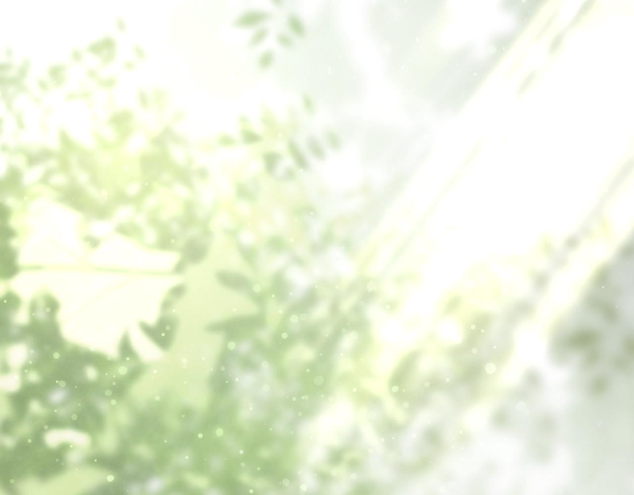 第 236 页