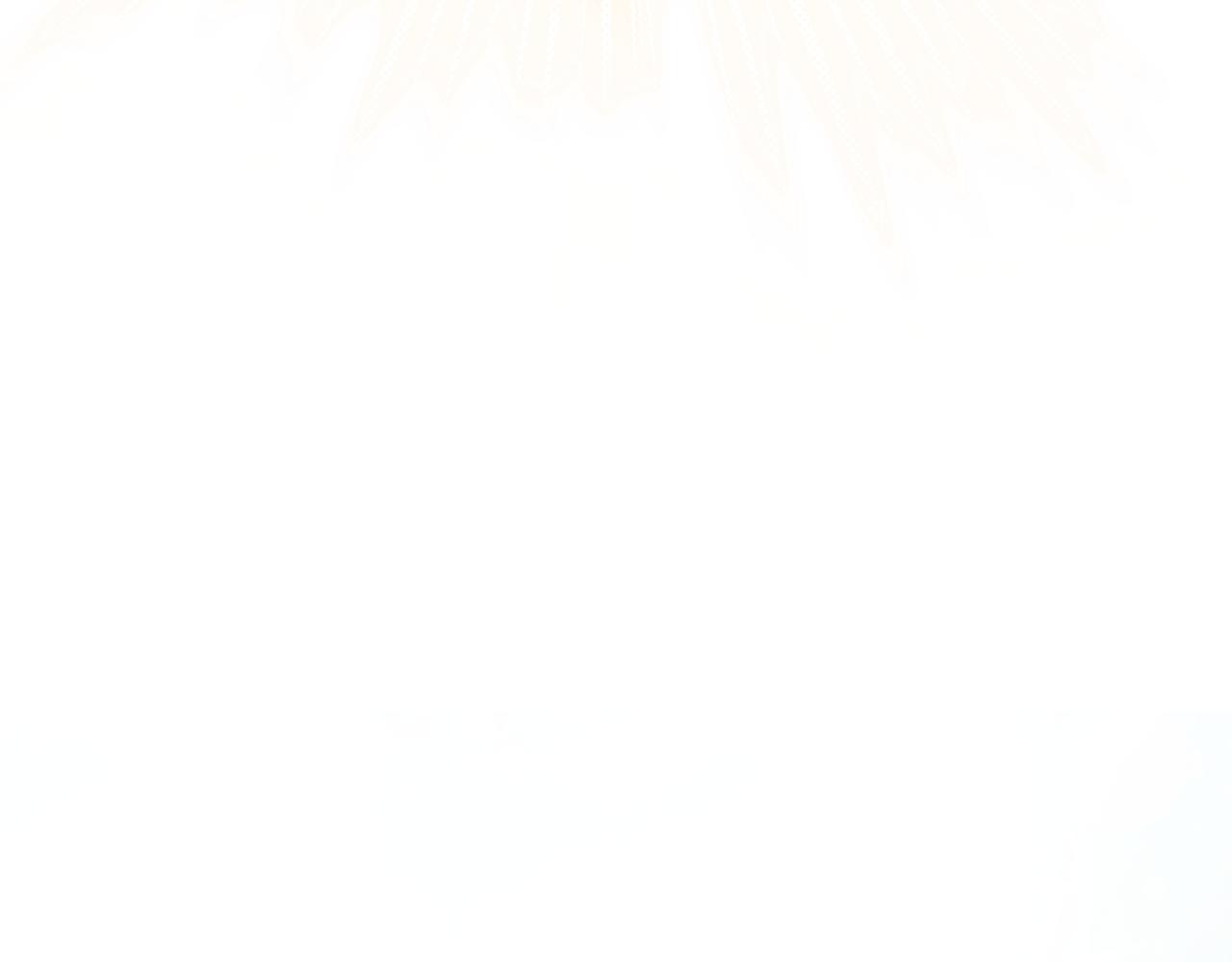 第 246 页