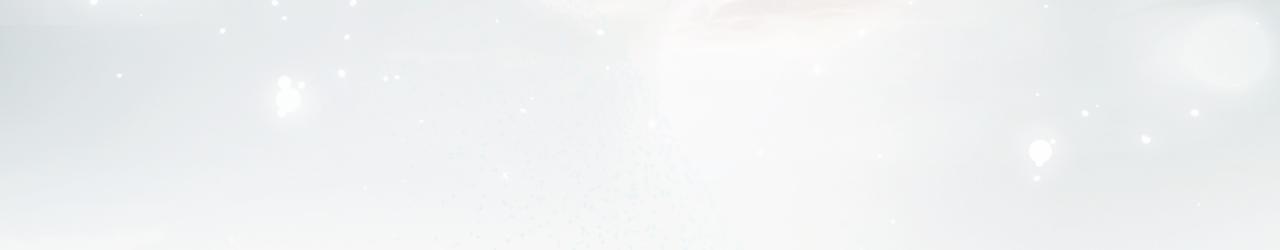 第 255 页