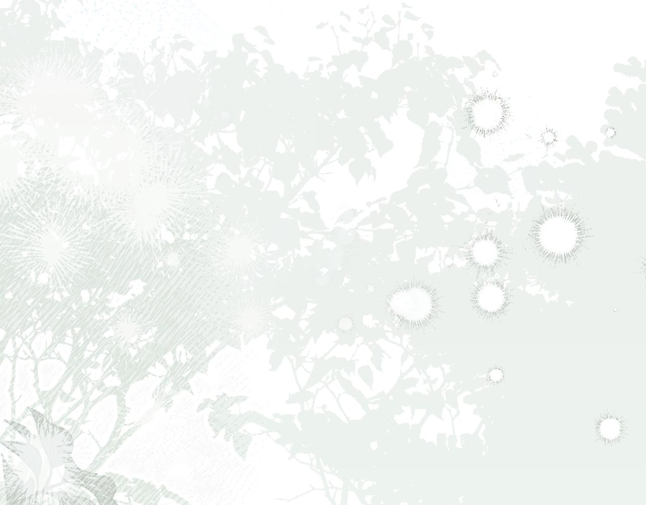 第 260 页