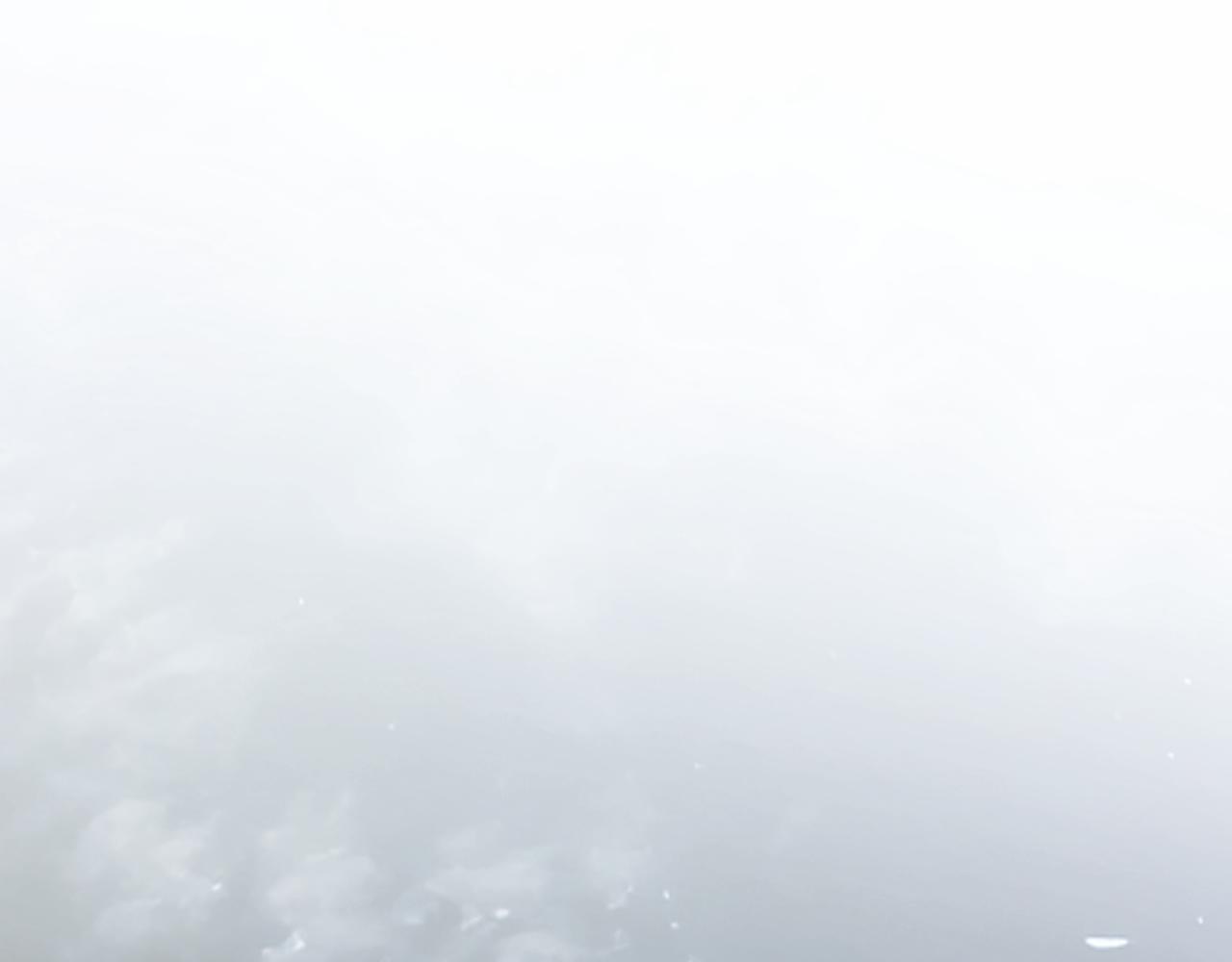 第 263 页