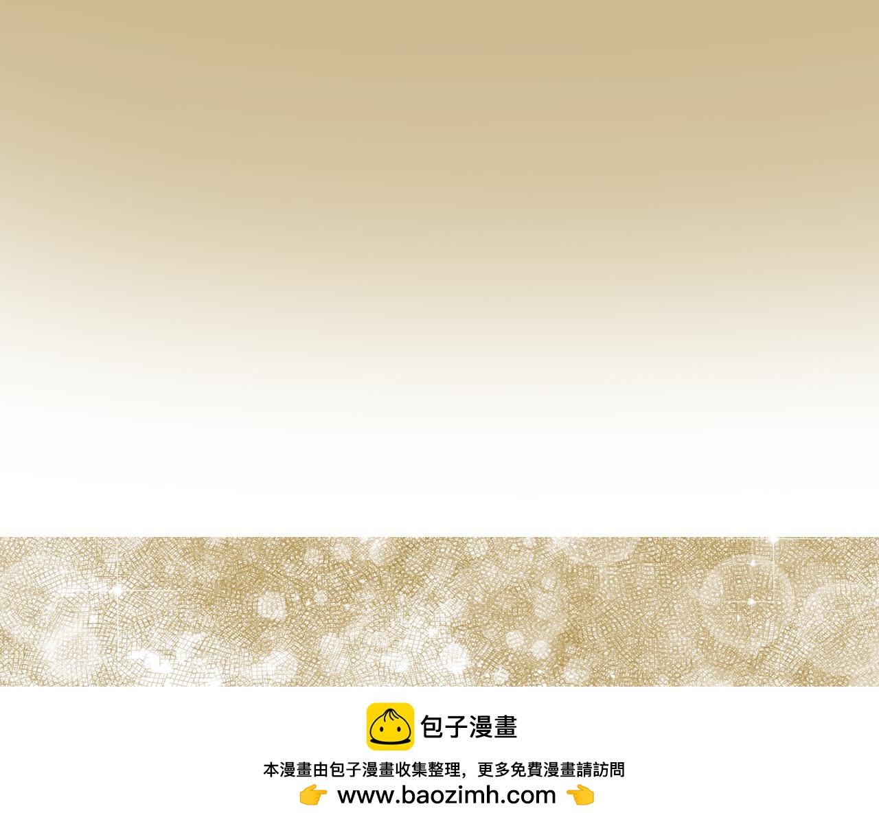 第 111 页